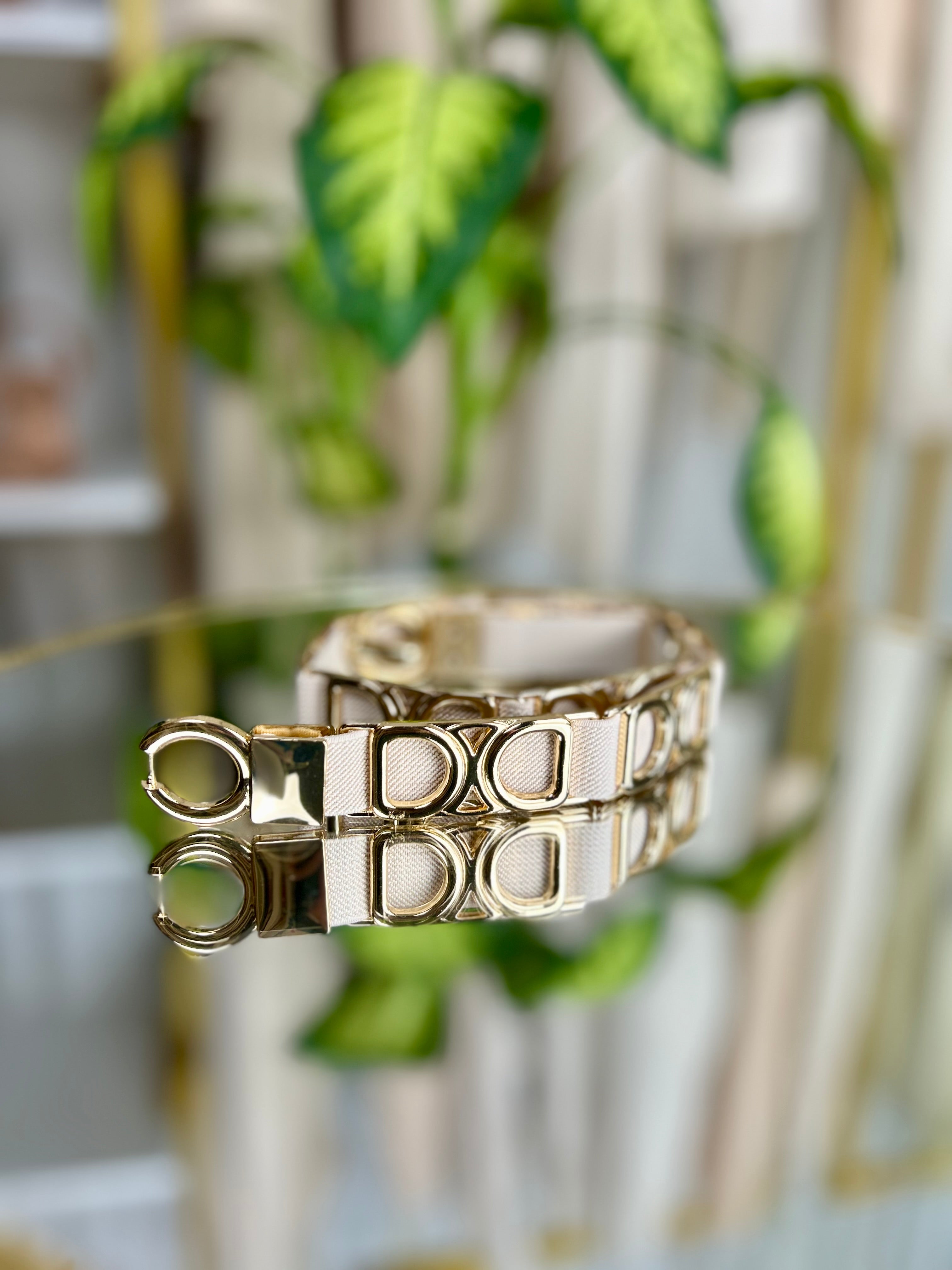 Cintura Cindy - Taglia unica / Panna/ Oro-Taglia unica / Cammello/ Oro-Taglia unica / Nero/ Oro-Taglia unica / Nero / Argento