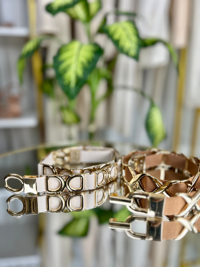 Cintura Cindy - Taglia unica / Panna/ Oro-Taglia unica / Cammello/ Oro-Taglia unica / Nero/ Oro-Taglia unica / Nero / Argento