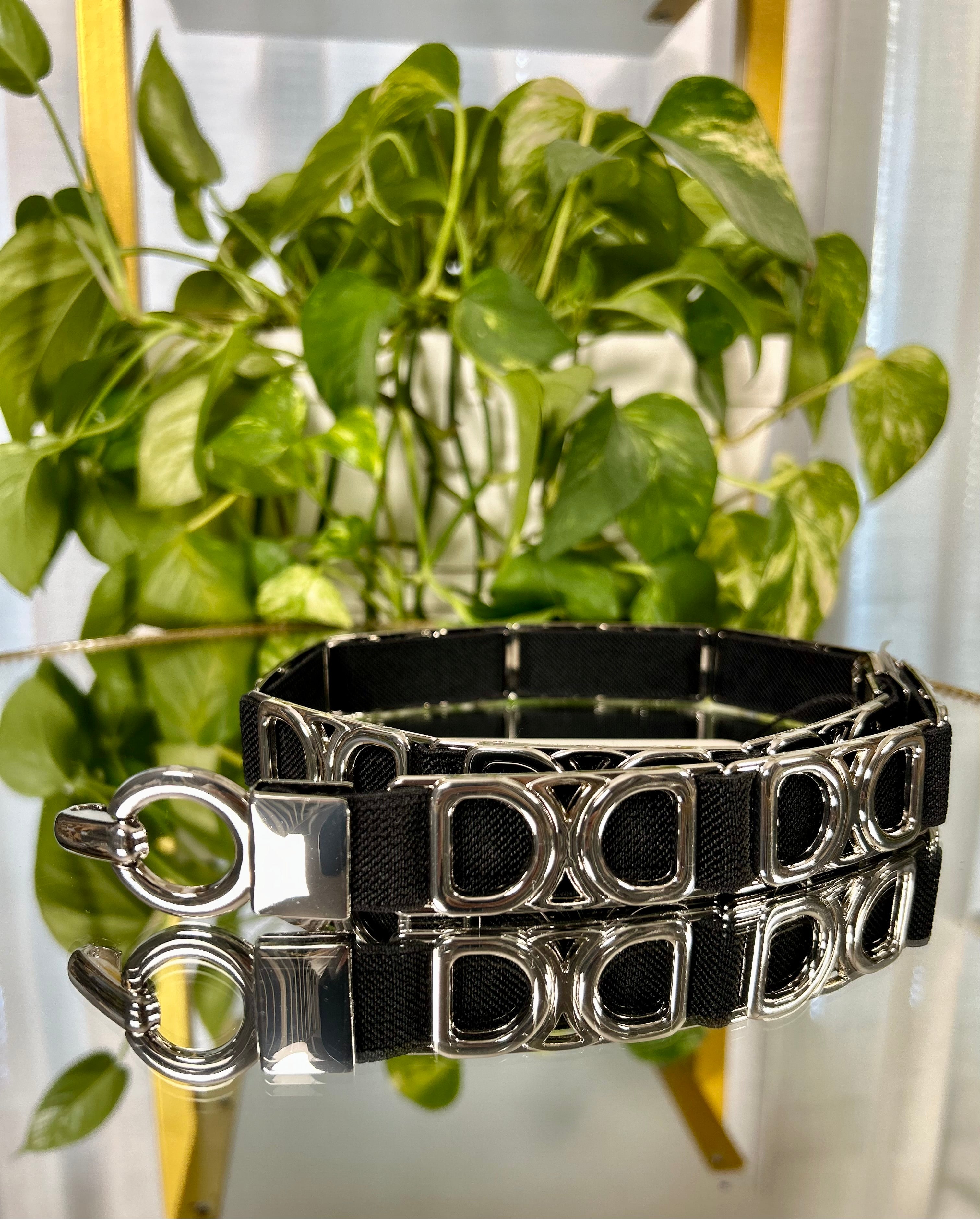 Cintura Cindy - Taglia unica / Panna/ Oro-Taglia unica / Cammello/ Oro-Taglia unica / Nero/ Oro-Taglia unica / Nero / Argento