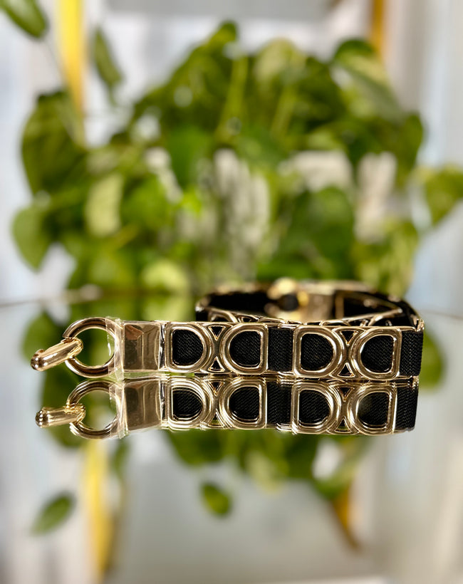 Cintura Cindy - Taglia unica / Panna/ Oro-Taglia unica / Cammello/ Oro-Taglia unica / Nero/ Oro-Taglia unica / Nero / Argento